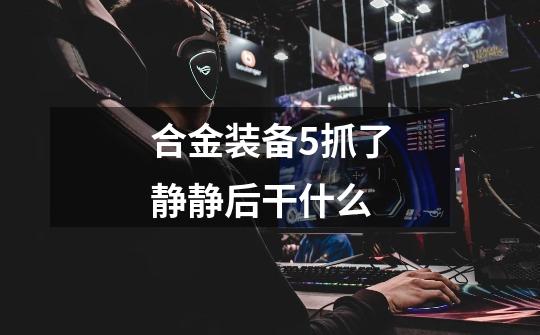 合金装备5抓了静静后干什么-第1张-游戏信息-龙启网