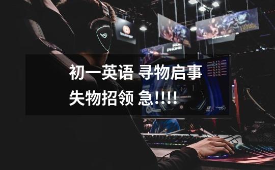 初一英语 寻物启事 失物招领 急!!!!-第1张-游戏信息-龙启网