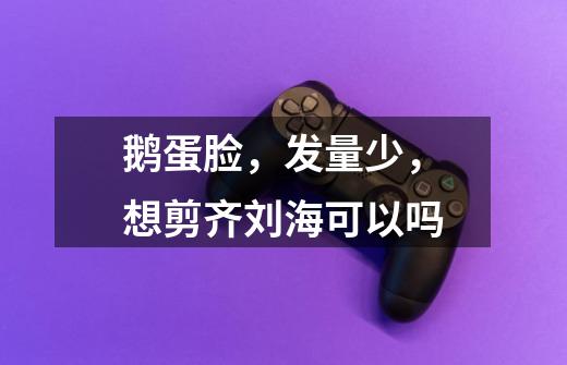 鹅蛋脸，发量少，想剪齐刘海可以吗-第1张-游戏信息-龙启网