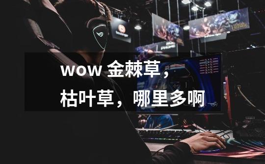 wow 金棘草，枯叶草，哪里多啊-第1张-游戏信息-龙启网