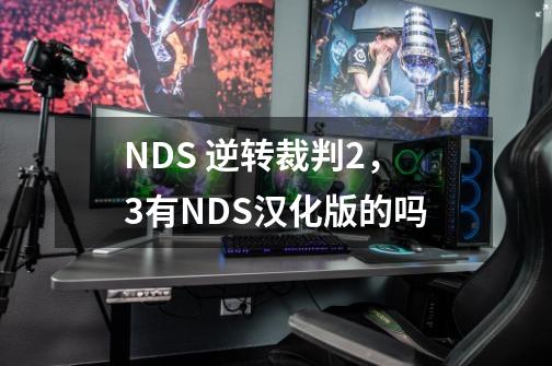 NDS 逆转裁判2,3有NDS汉化版的吗-第1张-游戏信息-龙启网