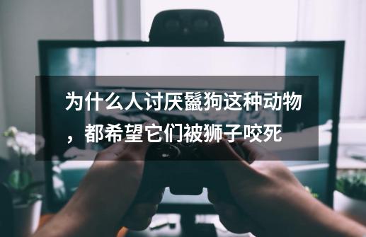 为什么人讨厌鬣狗这种动物,都希望它们被狮子咬死-第1张-游戏信息-龙启网