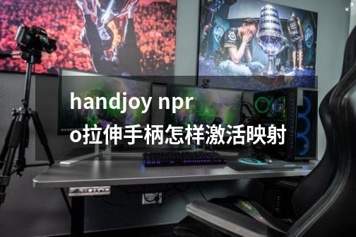 handjoy npro拉伸手柄怎样激活映射-第1张-游戏信息-龙启网