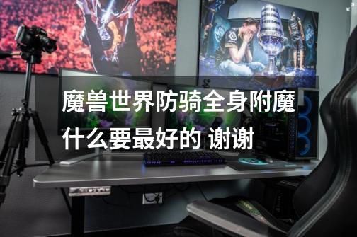 魔兽世界防骑全身附魔什么要最好的 谢谢-第1张-游戏信息-龙启网