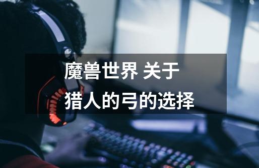魔兽世界 关于猎人的弓的选择-第1张-游戏信息-龙启网