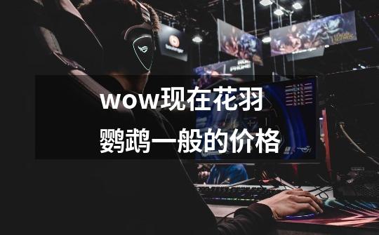 wow现在花羽鹦鹉一般的价格-第1张-游戏信息-龙启网