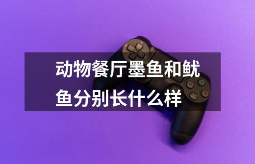 动物餐厅墨鱼和鱿鱼分别长什么样-第1张-游戏信息-龙启网