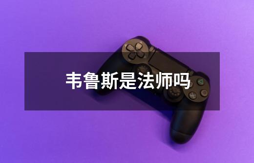 韦鲁斯是法师吗-第1张-游戏信息-龙启网