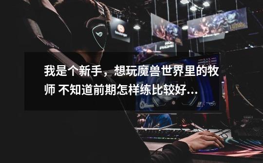 我是个新手,想玩魔兽世界里的牧师 不知道前期怎样练比较好请高手教教我 谢谢!-第1张-游戏信息-龙启网