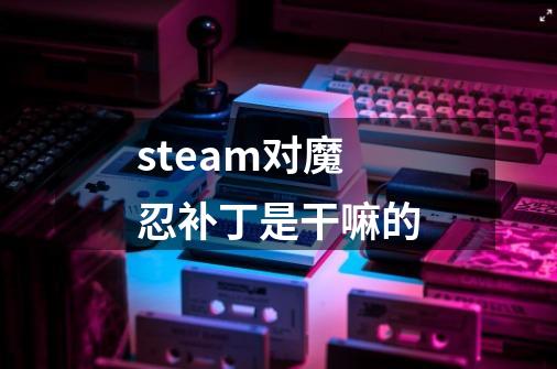 steam对魔忍补丁是干嘛的-第1张-游戏信息-龙启网