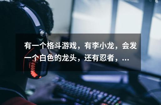 有一个格斗游戏，有李小龙，会发一个白色的龙头，还有忍者，发忍者镖和火球，都有必杀技-第1张-游戏信息-龙启网