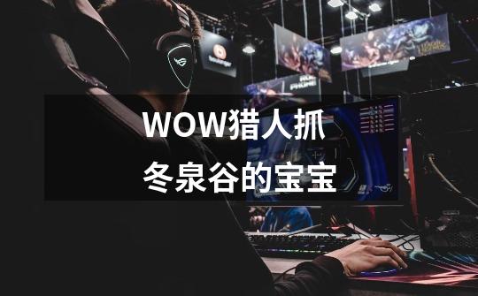 WOW猎人抓冬泉谷的宝宝-第1张-游戏信息-龙启网