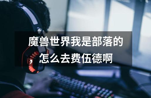 魔兽世界我是部落的，怎么去费伍德啊-第1张-游戏信息-龙启网