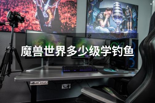 魔兽世界多少级学钓鱼-第1张-游戏信息-龙启网