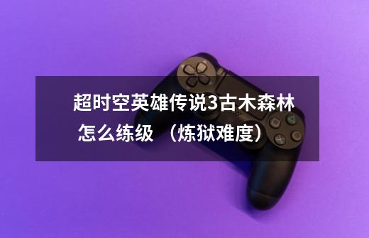 超时空英雄传说3古木森林 怎么练级 （炼狱难度）-第1张-游戏信息-龙启网