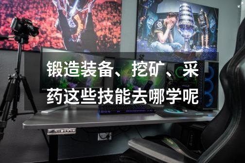 锻造装备、挖矿、采药这些技能去哪学呢-第1张-游戏信息-龙启网