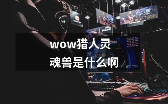 wow猎人灵魂兽是什么啊-第1张-游戏信息-龙启网