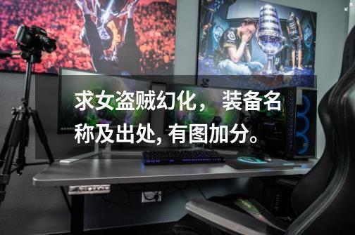 求女盗贼幻化， 装备名称及出处, 有图加分。-第1张-游戏信息-龙启网