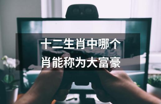 十二生肖中哪个肖能称为大富豪-第1张-游戏信息-龙启网