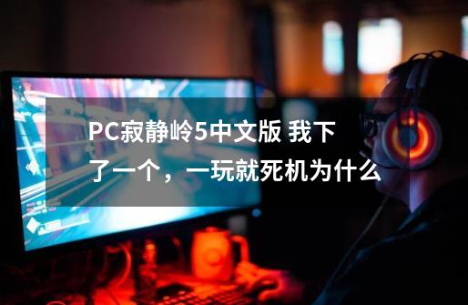 PC寂静岭5中文版 我下了一个,一玩就死机为什么-第1张-游戏信息-龙启网