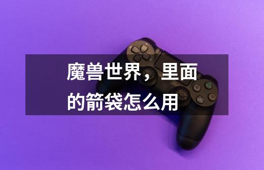 魔兽世界,里面的箭袋怎么用-第1张-游戏信息-龙启网