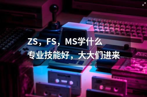 ZS，FS，MS学什么专业技能好，大大们进来-第1张-游戏信息-龙启网
