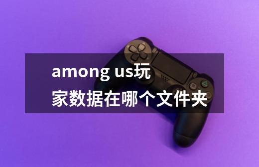 among us玩家数据在哪个文件夹-第1张-游戏信息-龙启网