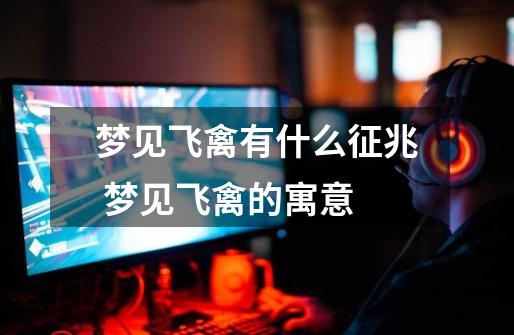 梦见飞禽有什么征兆 梦见飞禽的寓意-第1张-游戏信息-龙启网