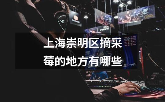 上海崇明区摘采莓的地方有哪些-第1张-游戏信息-龙启网