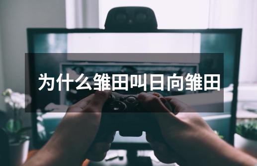 为什么雏田叫日向雏田-第1张-游戏信息-龙启网