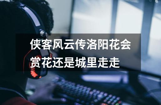 侠客风云传洛阳花会赏花还是城里走走-第1张-游戏信息-龙启网