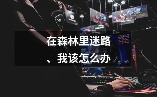 在森林里迷路、我该怎么办-第1张-游戏信息-龙启网