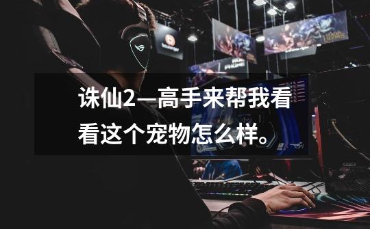 诛仙2—高手来帮我看看这个宠物怎么样。-第1张-游戏信息-龙启网