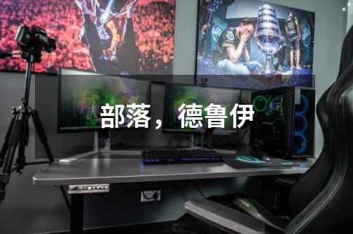 部落,德鲁伊-第1张-游戏信息-龙启网