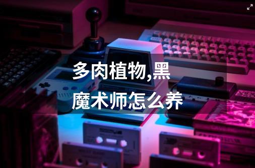 多肉植物,黑魔术师.怎么养-第1张-游戏信息-龙启网
