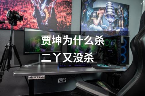 贾坤为什么杀二丫又没杀-第1张-游戏信息-龙启网