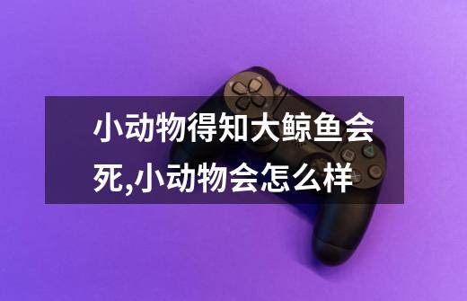 小动物得知大鲸鱼会死,小动物会怎么样-第1张-游戏信息-龙启网