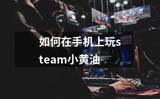 如何在手机上玩steam小黄油-第1张-游戏信息-龙启网