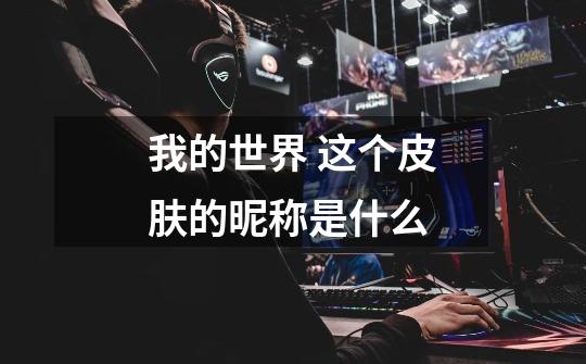 我的世界 这个皮肤的昵称是什么-第1张-游戏信息-龙启网