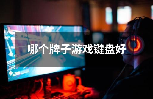 哪个牌子游戏键盘好-第1张-游戏信息-龙启网