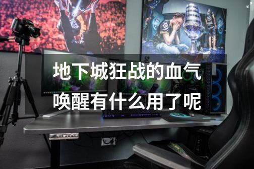 地下城狂战的血气唤醒有什么用了呢-第1张-游戏信息-龙启网
