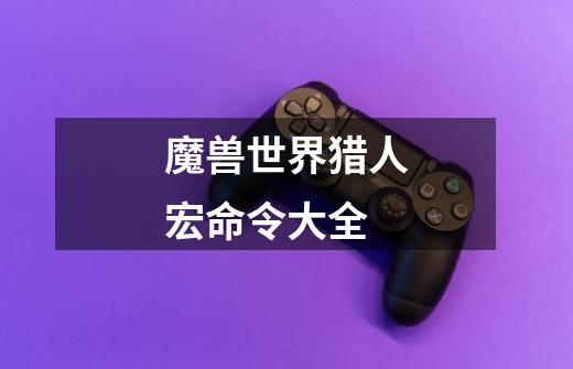 魔兽世界猎人宏命令大全-第1张-游戏信息-龙启网