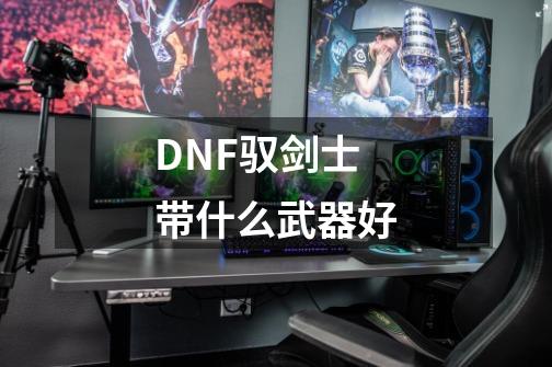DNF驭剑士带什么武器好-第1张-游戏信息-龙启网