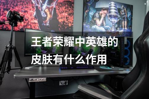 王者荣耀中英雄的皮肤有什么作用-第1张-游戏信息-龙启网