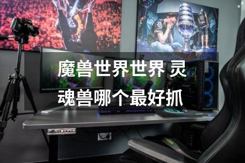 魔兽世界世界 灵魂兽哪个最好抓-第1张-游戏信息-龙启网