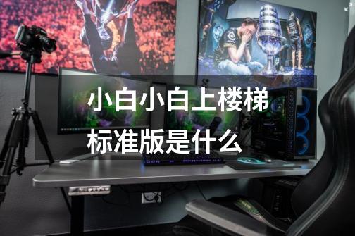 小白小白上楼梯标准版是什么-第1张-游戏信息-龙启网