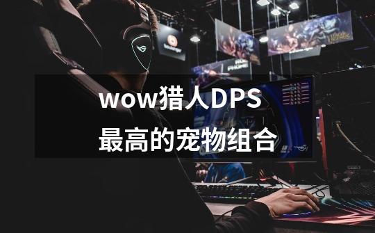wow猎人DPS最高的宠物组合-第1张-游戏信息-龙启网