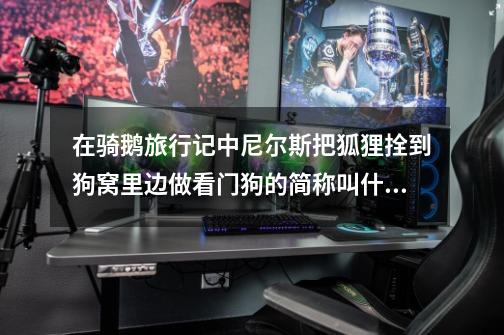 在骑鹅旅行记中尼尔斯把狐狸拴到狗窝里边做看门狗的简称叫什么-第1张-游戏信息-龙启网