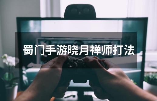 蜀门手游晓月禅师打法-第1张-游戏信息-龙启网