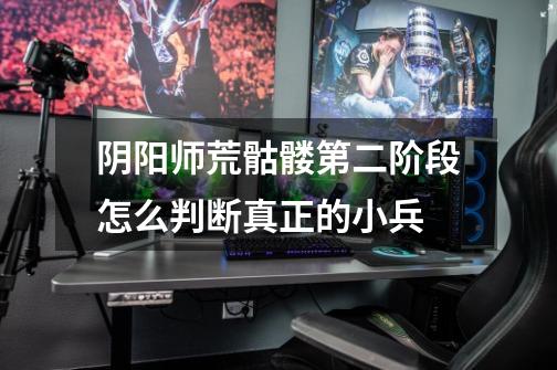阴阳师荒骷髅第二阶段怎么判断真正的小兵-第1张-游戏信息-龙启网